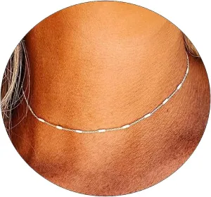 ASCOMY Silver Necklace for Women Dainty Silver Choker 14K Silver Plated Choker Minimalist JewelLery Gift for Women