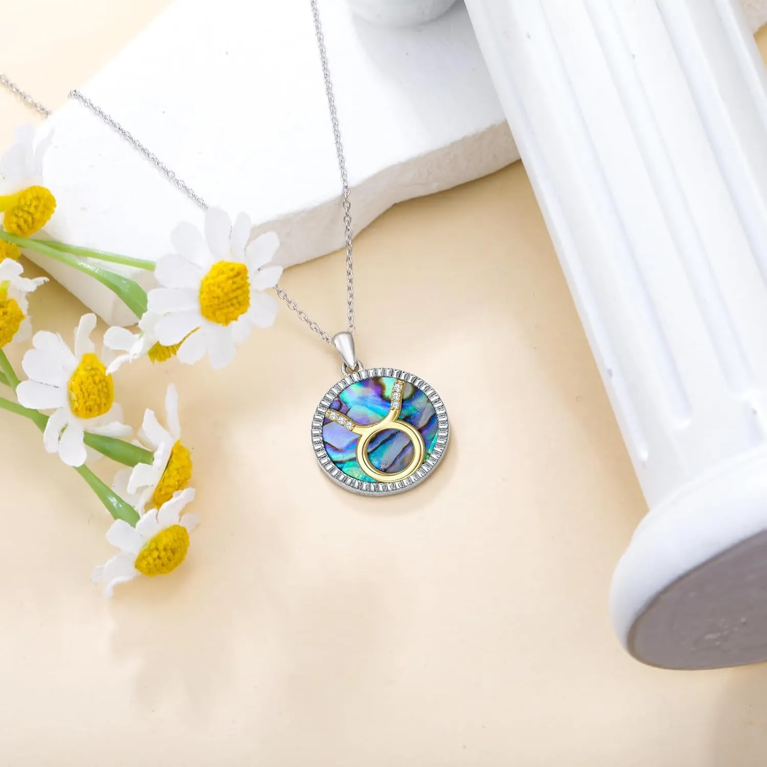Natural Diamond Zodiac Necklace with Abalone Shell for Women S925 Sterling Silver 12 Constellation Coin Disc Necklace Pendant