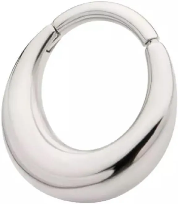 Pierced Owl 16GA 316L Stainless Steel Polished Rounded Thick Hoop Hinged Segment Ring