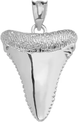 Shark Tooth Lucky Charm Pendant in Polished 925 Sterling Silver