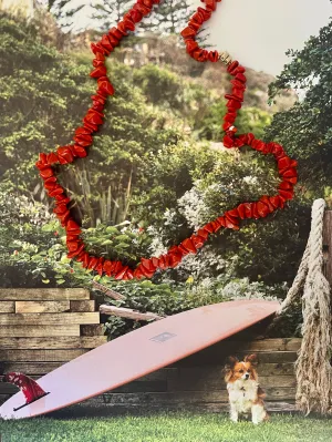 The Surfer Boy Necklace (Coral)