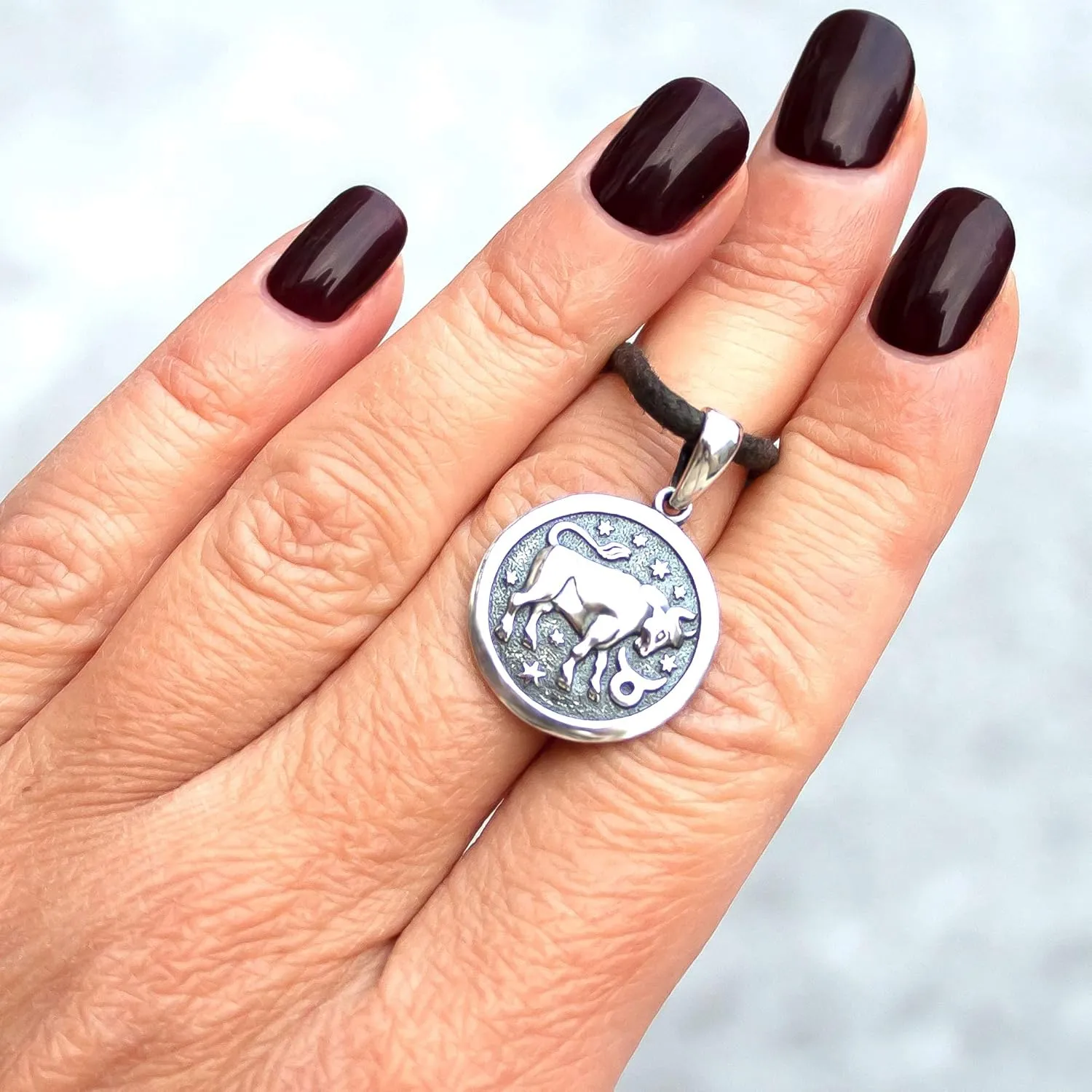 Zodiac Sign Pendant Necklace 925 Sterling Silver Horoscope Medallion Coin Disc Choker Charm Constellation Astrology Jewelry for Men Women