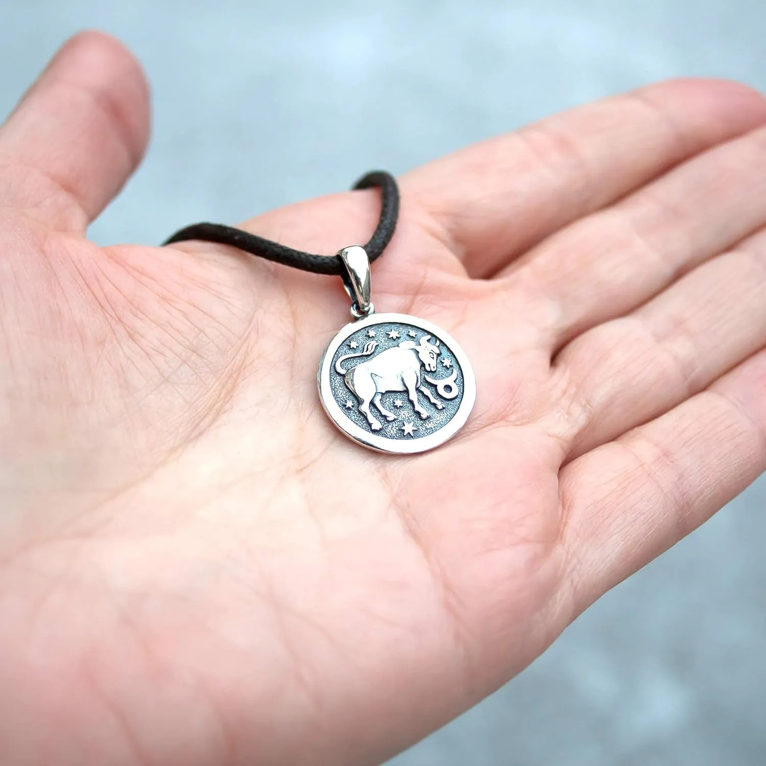 Zodiac Sign Pendant Necklace 925 Sterling Silver Horoscope Medallion Coin Disc Choker Charm Constellation Astrology Jewelry for Men Women